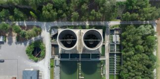 Teilnehmer Vfl Bochum Gegen Vfl Wolfsburg: Wer Gewinnt Spannend?