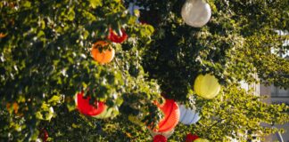 Sparkasse Celle-Gifhorn-Wolfsburg Geldautomat: Wo Finden Sie Ihn?