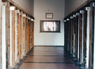 Vfl Wolfsburg Trikot: Warum Fans Dieses Design Jetzt Lieben Werden