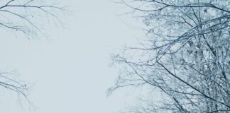 Wolfsburg Wetter 7 Tage: Wie Wird Das Wetter In Der Stadt?