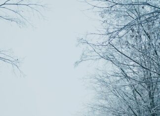 Wolfsburg Wetter 7 Tage: Wie Wird Das Wetter In Der Stadt?