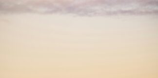 Maximilian Arnold VfL Wolfsburg: Warum Ist Er So Unverzichtbar?