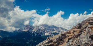 Vini D Italia Wolfsburg: Entdecke Die Geheimnisse Dieser Weinschätze