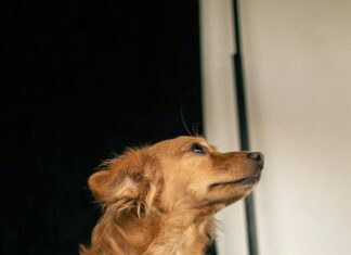 Zar Wolfsburg – Zentrum Für Ambulante Rehabilitation Entdecken!