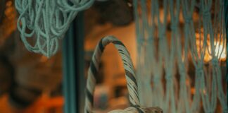 Teilnehmer VfL Wolfsburg Gegen Borussia Mönchengladbach: Wer Überzeugt?