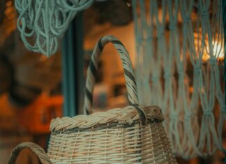 Teilnehmer VfL Wolfsburg Gegen Borussia Mönchengladbach: Wer Überzeugt?