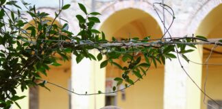 Premier Inn Wolfsburg City Centre: Warum Es Ihr Perfekter Aufenthalt Ist