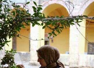 Premier Inn Wolfsburg City Centre: Warum Es Ihr Perfekter Aufenthalt Ist