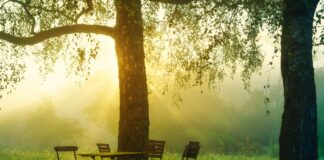 Flughafen Braunschweig-Wolfsburg GmbH Entdecken: Warum Er Faszinierend Ist