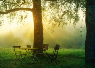 Flughafen Braunschweig-Wolfsburg GmbH Entdecken: Warum Er Faszinierend Ist