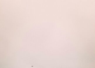 Was Ist Heute In Wolfsburg Los? Spannende Events Entdecken!