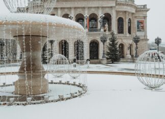 Teilnehmer VfL Wolfsburg Gegen Eintracht Frankfurt Tabelle – Spannende Analyse Enthüllt!