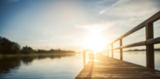 Teilnehmer Holstein Kiel Gegen Vfl Wolfsburg: Wer Gewinnt Heute?