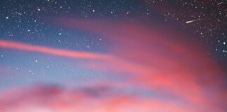 Teilnehmer SC Freiburg Gegen VfL Wolfsburg Spiele: Wer Gewinnt?