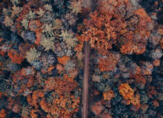 Bayern Wolfsburg Heute Live: Spannung Pur Im Top-Duell Verfolgen