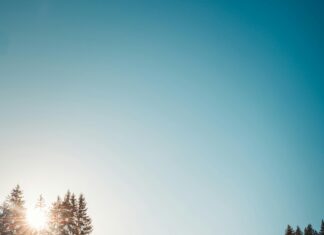 Wolfsburg Vs. 1. FC Köln: Spannendes Duell Mit Unvorhersehbarem Ausgang