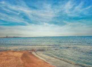 Hotz Und Heitmann Wolfsburg: Entdecken Sie Das Erfolgsgeheimnis!