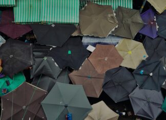 City-Galerie Wolfsburg: Entdecken Sie ECE Marketplaces GmbH & Co. KG!