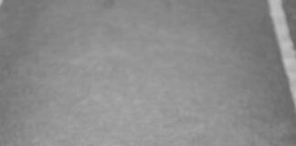 Teilnehmer: VfL Wolfsburg Gegen Darmstadt 98 – Wer Siegt Im Duell?