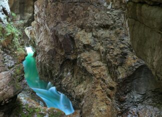 Teilnehmer Bayer 04 Leverkusen Gegen VfL Wolfsburg Statistiken Enthüllt