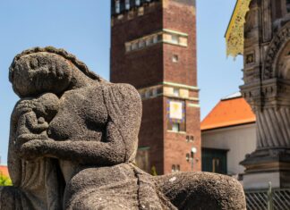 Teilnehmer VfL Wolfsburg Gegen Darmstadt 98 Tabelle: Wer Führt?