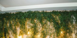 Teilnehmer SC Freiburg Gegen VfL Wolfsburg Statistiken: Spannende Einblicke Entdecken