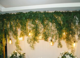 Teilnehmer SC Freiburg Gegen VfL Wolfsburg: Wer Triumphiert?