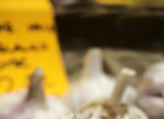 Vfb Stuttgart Vs Wolfsburg: Wer Gewinnt Das Spannende Duell?