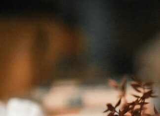 Teilnehmer RB Leipzig Gegen VfL Wolfsburg: Wer Siegt Im Spitzenspiel?