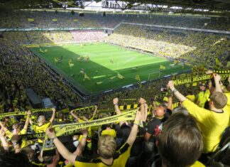 Teilnehmer VfL Wolfsburg Gegen Borussia Dortmund Spiele: Wer Gewinnt?