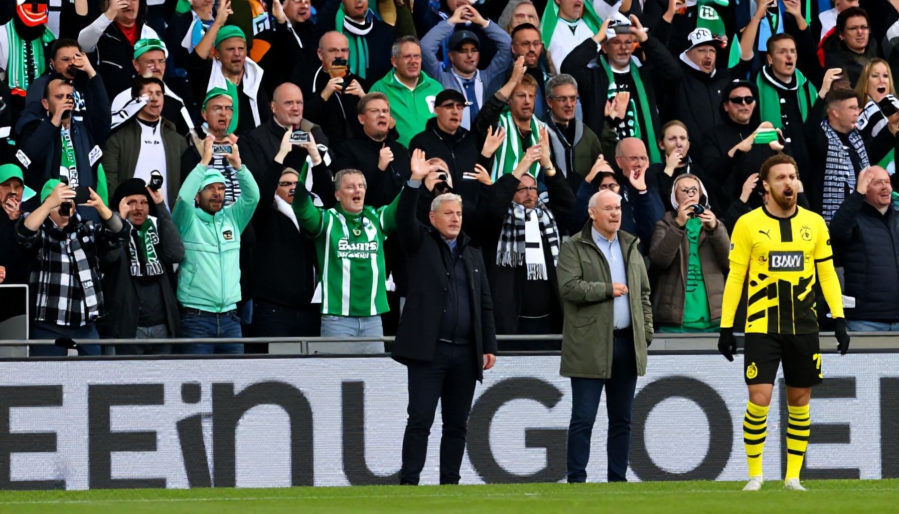 Die Erwartungen der Fans und Experten