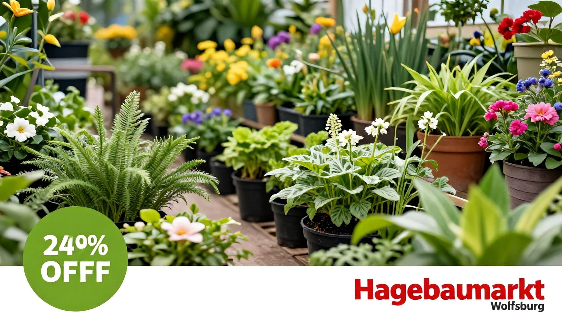 Sonderangebote für alle Gartenliebhaber