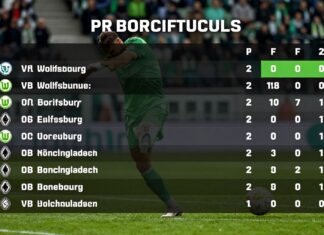 VfL Wolfsburg besiegt Borussia Mönchengladbach mit 2:0 und klettert auf Tabellenplatz 7