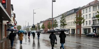 Wetter in Wolfsburg: 7 Tage mit Regen und Temperaturen um 15 Grad