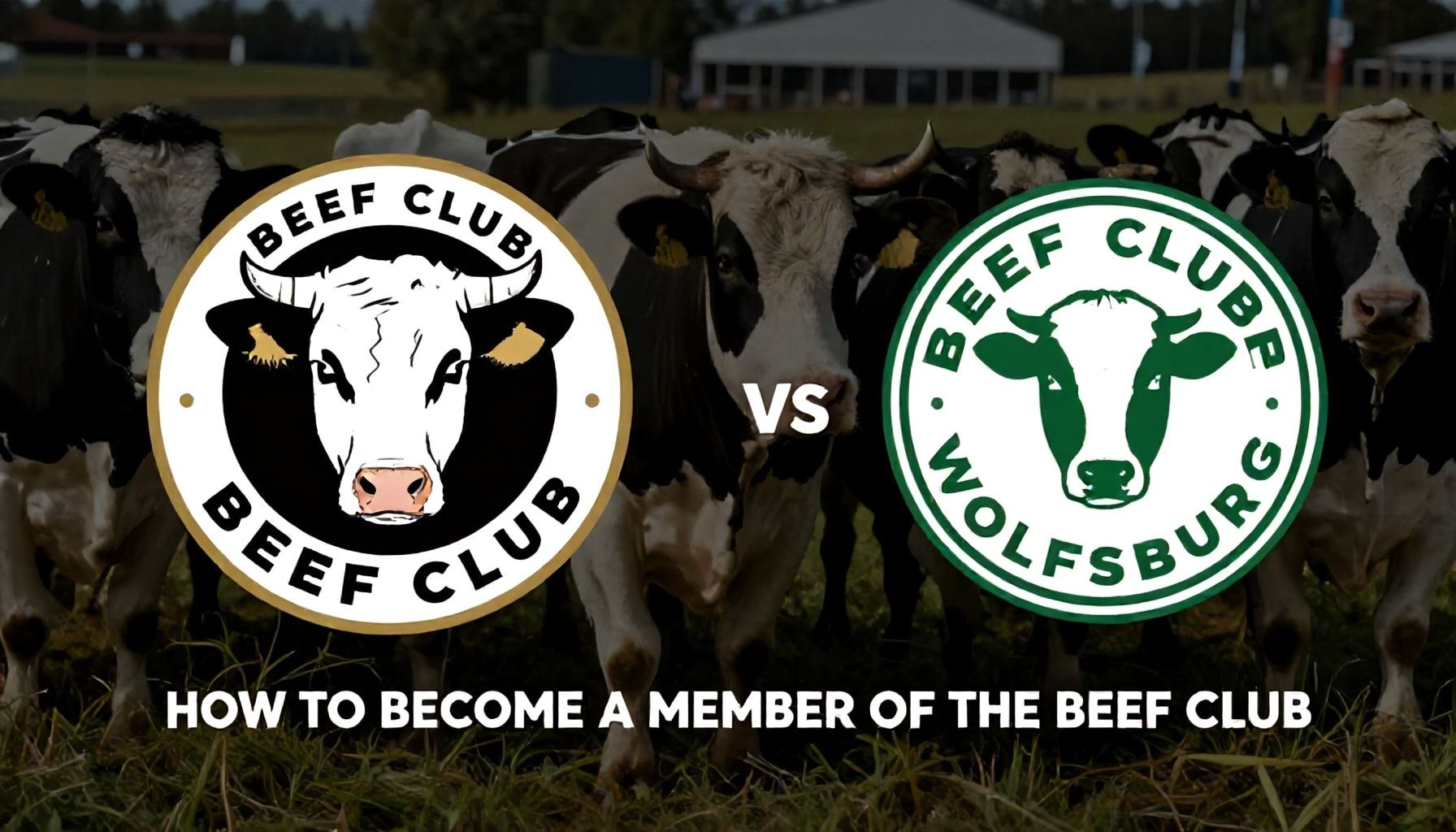 Wie man Mitglied im Beef Club wird